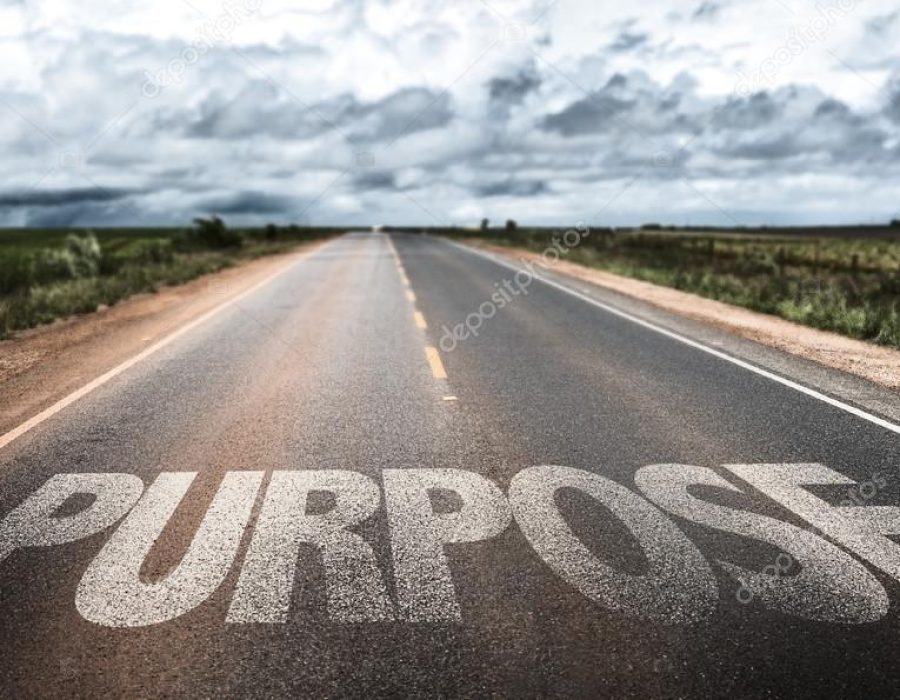 Purpose